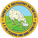 Apolycarpou Logo